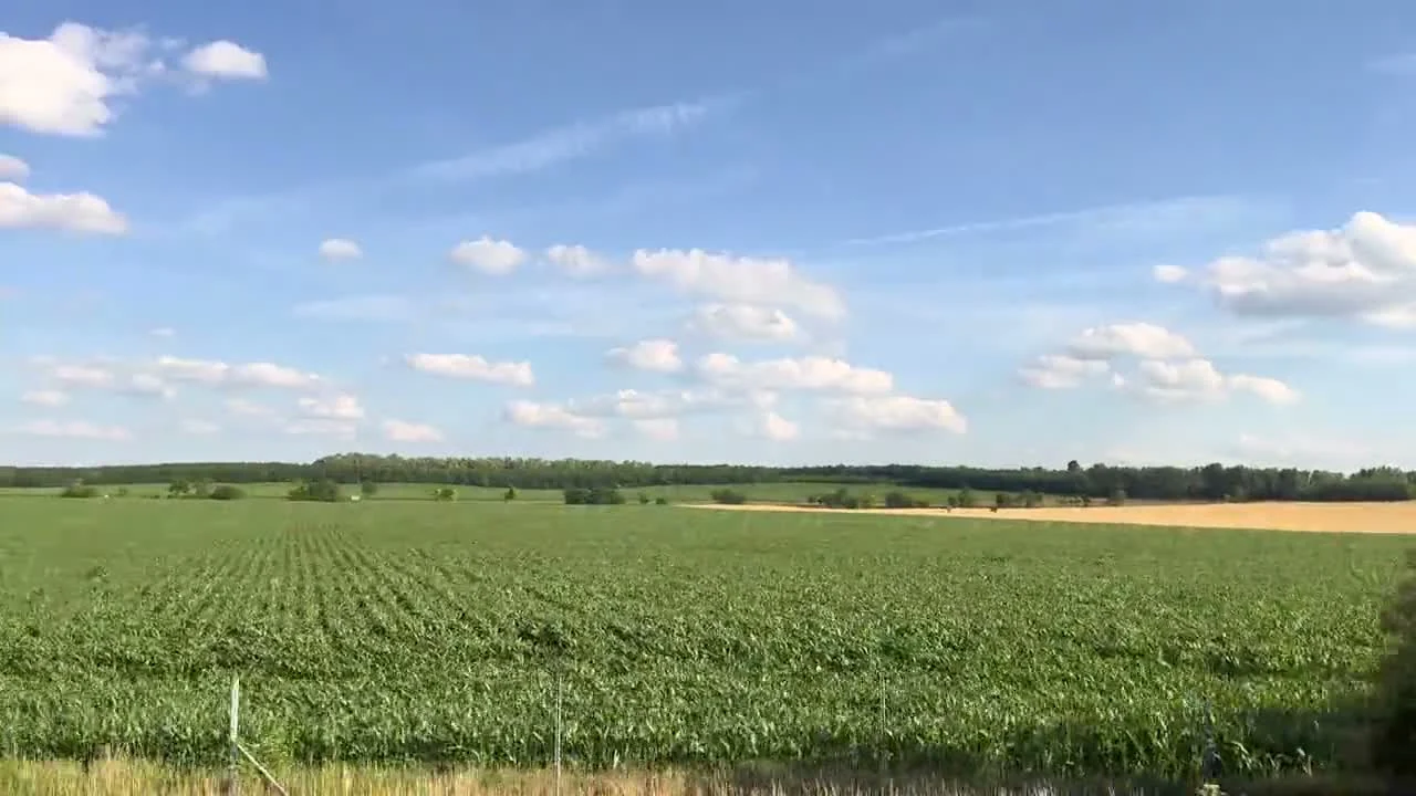 Open fields and a distant treeline seen from a passenger window.